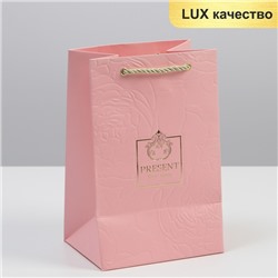 Пакет ламинированный «Present for you», 15 × 23 × 11,5 см