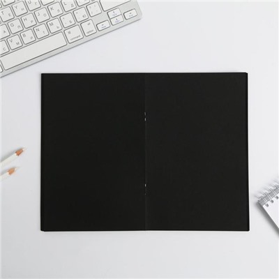 Тетрадь с черными листами 15 листов «Панда», дизайнерский картон, бумага тонированная 21 х 14 см